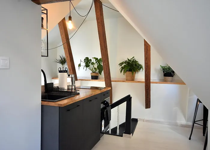 Apartament Basztowa *